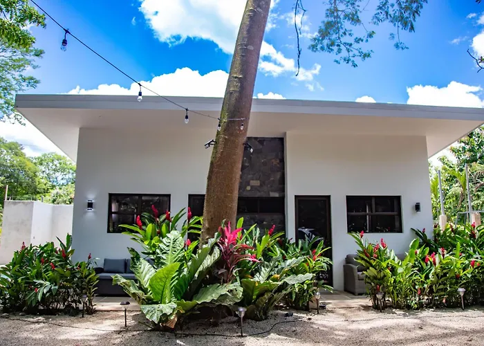 Bosques De Pinilla Lodge San José Pinilla